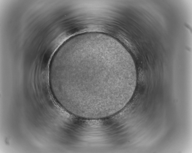 X0000093490836200710261115