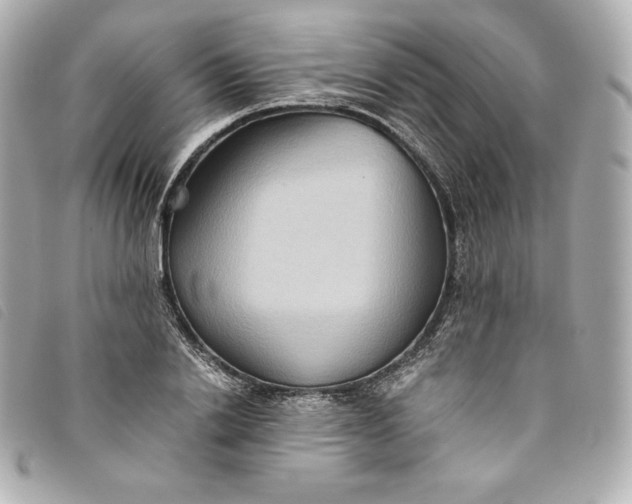 X0000093490838200710261115