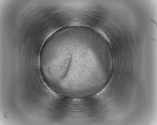 X0000093490839200710261115