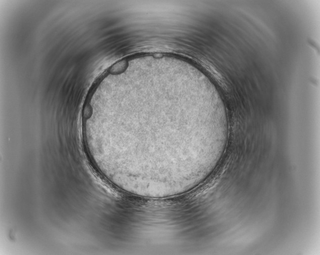 X0000093490840200710261115