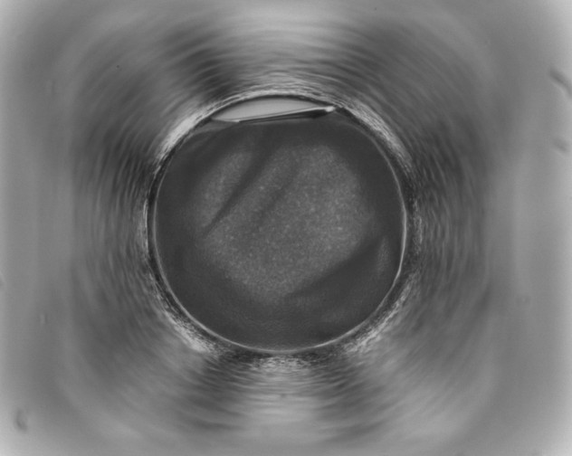 X0000093490842200710261115