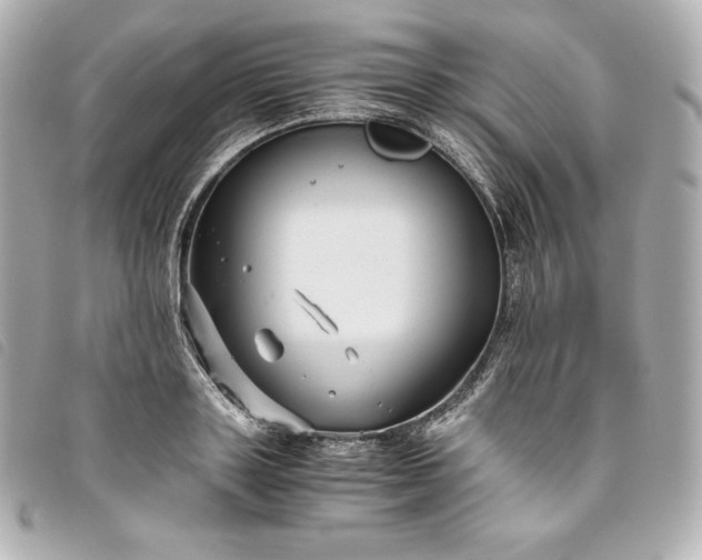 X0000093490843200710261116