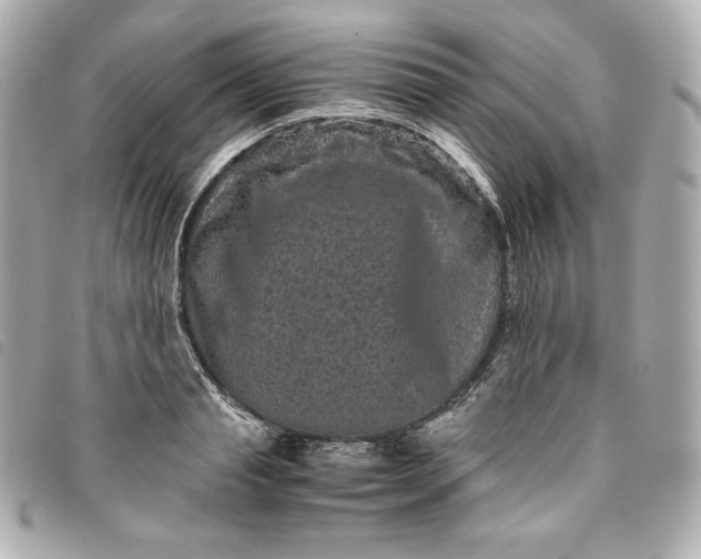 X0000093490845200710261116