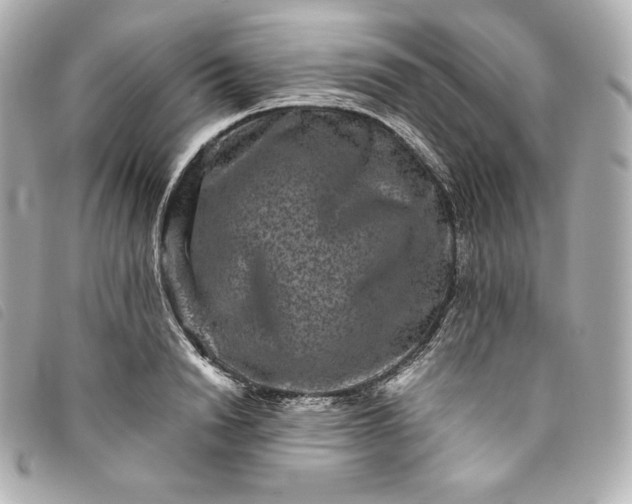 X0000093490846200710261116