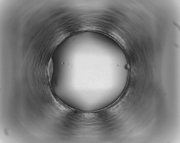 X0000093490849200710261116