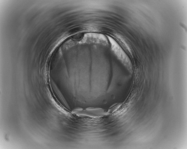 X0000093490851200710261116