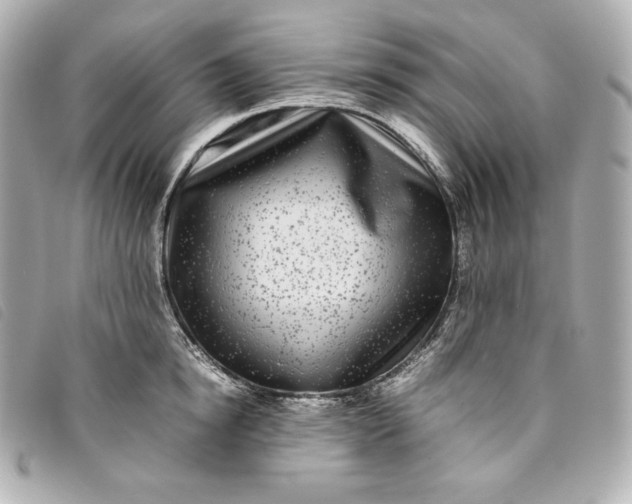 X0000093490854200710261116