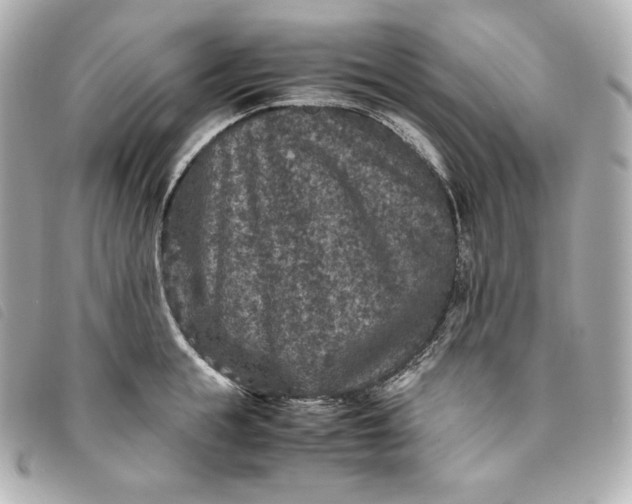 X0000093490855200710261116