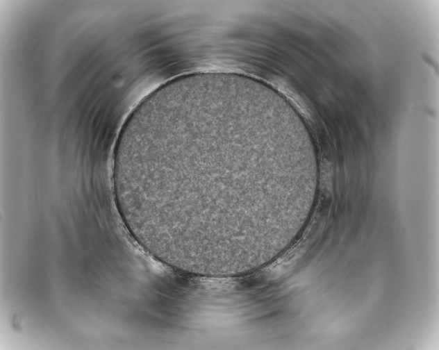 X0000093490856200710261116