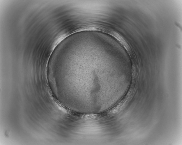 X0000093490858200710261116