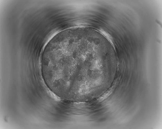 X0000093490859200710261116