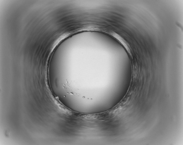 X0000093490861200710261116