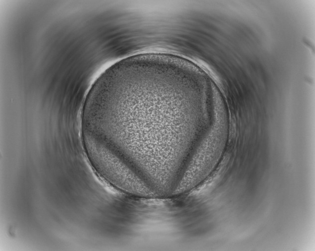 X0000093490862200710261116