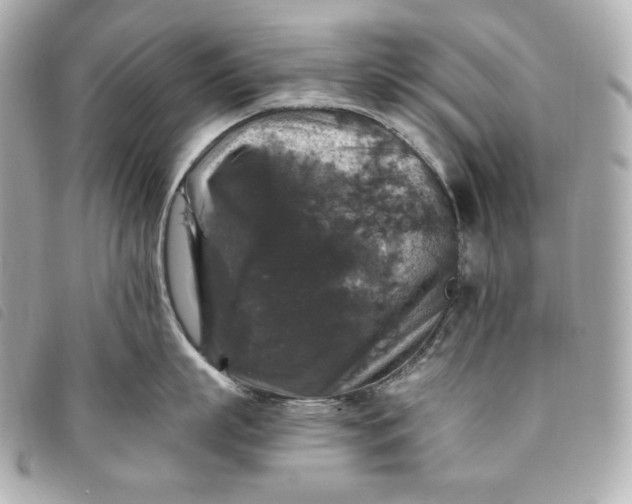 X0000093490863200710261116