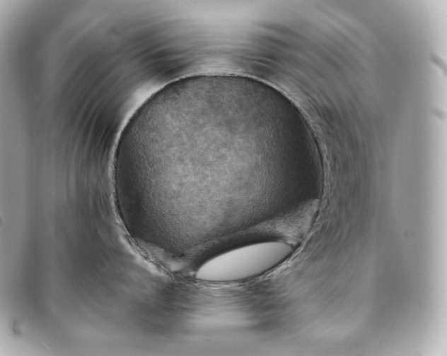 X0000093490864200710261116