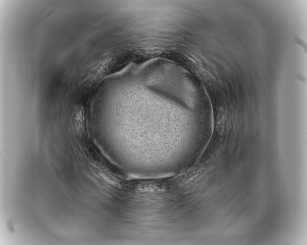 X0000093490866200710261115