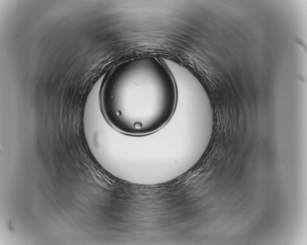 X0000093490868200710261115