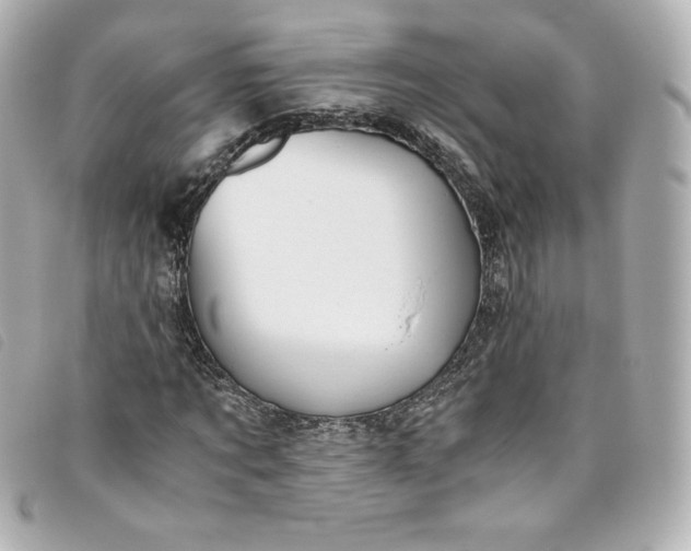 X0000093490869200710261115