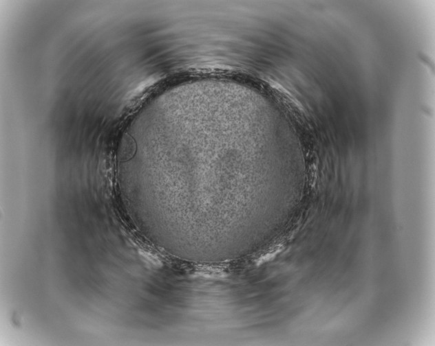 X0000093490870200710261115