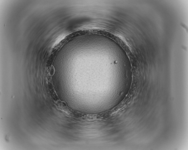 X0000093490871200710261115