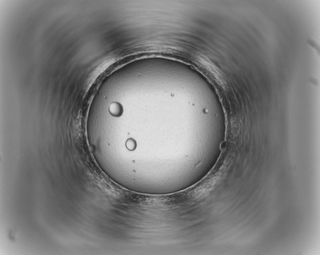 X0000093490875200710261115