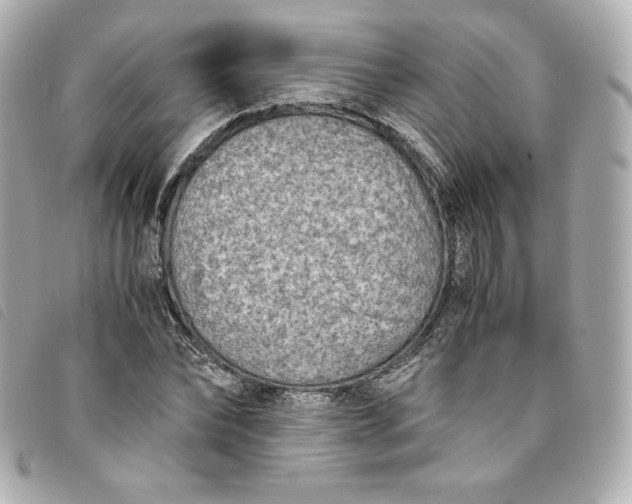 X0000093490878200710261115