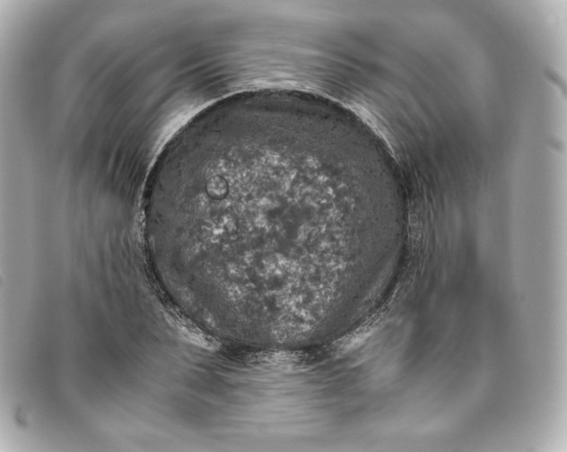 X0000093490879200710261115