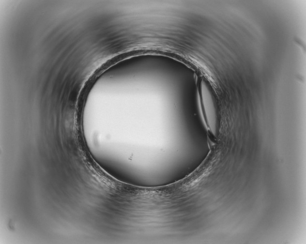 X0000093490880200710261115