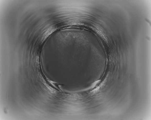 X0000093490881200710261115