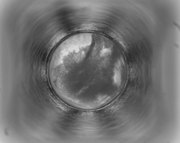 X0000093490882200710261115