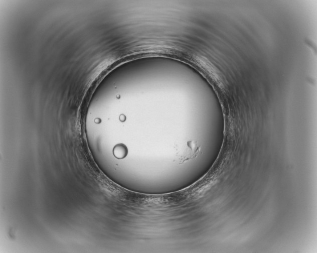 X0000093490883200710261115