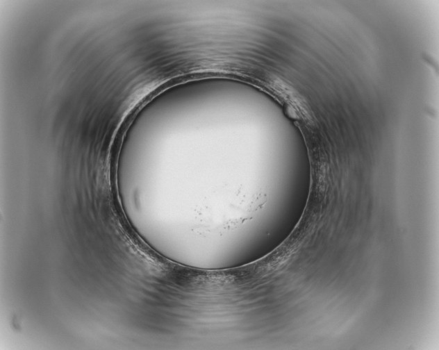 X0000093490884200710261115