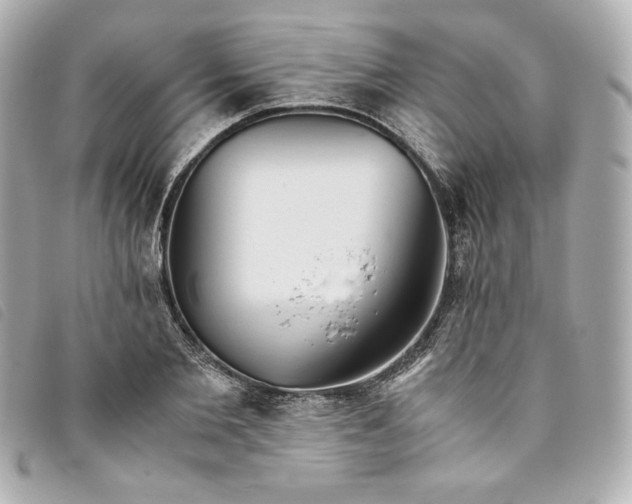 X0000093490885200710261115