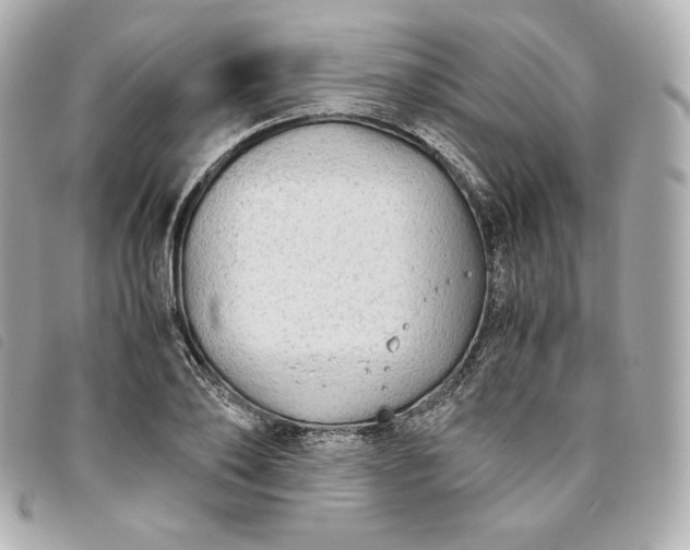 X0000093490886200710261115