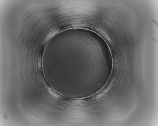 X0000093490889200710261115