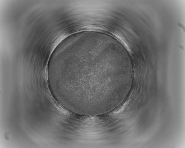 X0000093490891200710261115