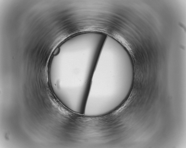 X0000093490892200710261115