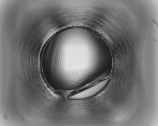 X0000093490894200710261115