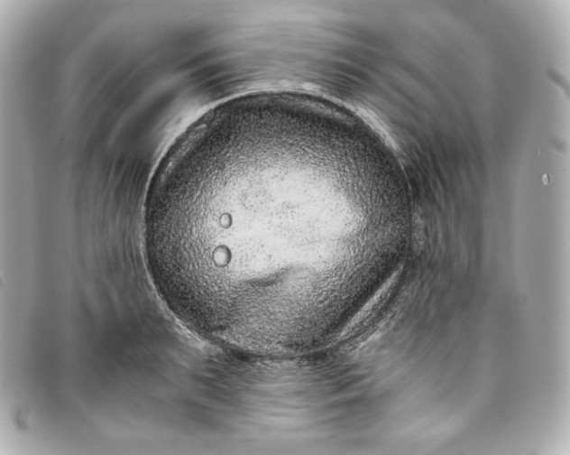 X0000093490895200710261115