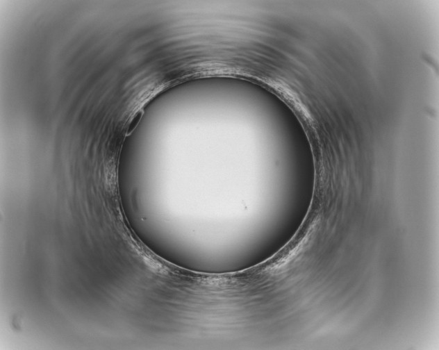 X0000093490897200710261115