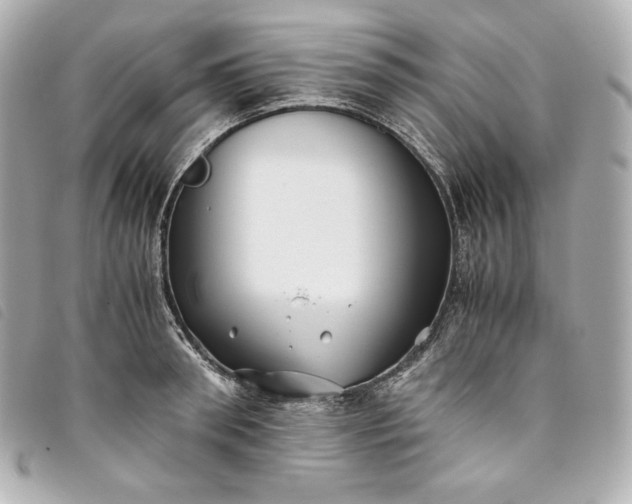 X0000093490898200710261115