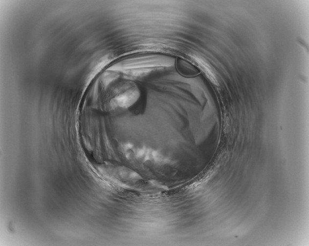 X0000093490899200710261115