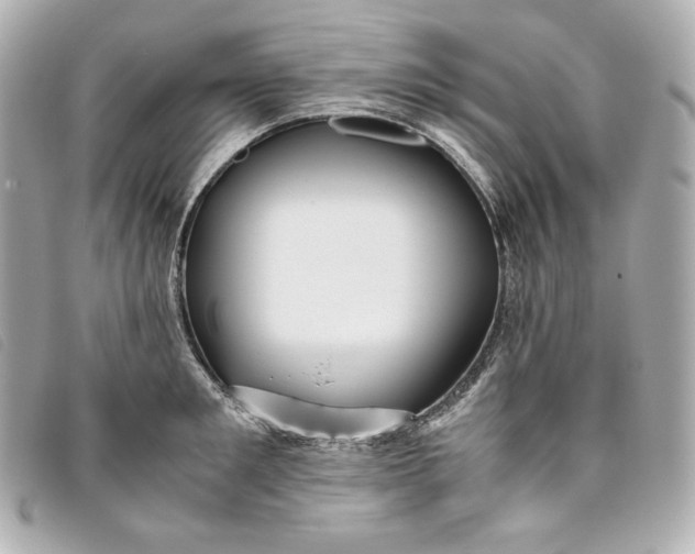 X0000093490901200710261115