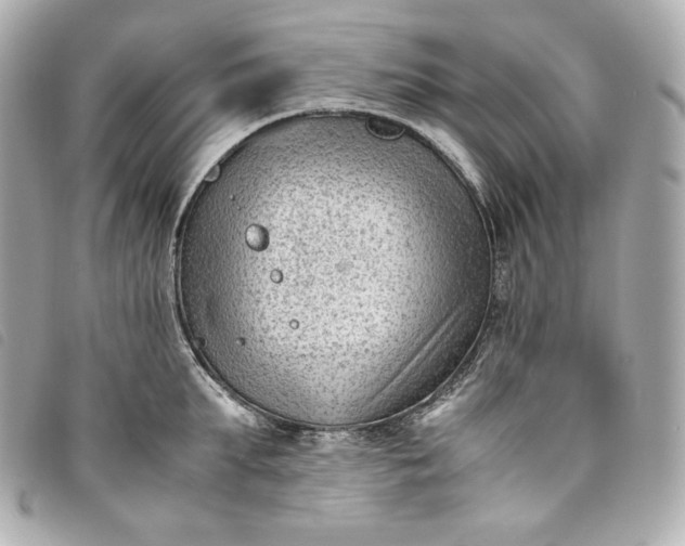 X0000093490903200710261115