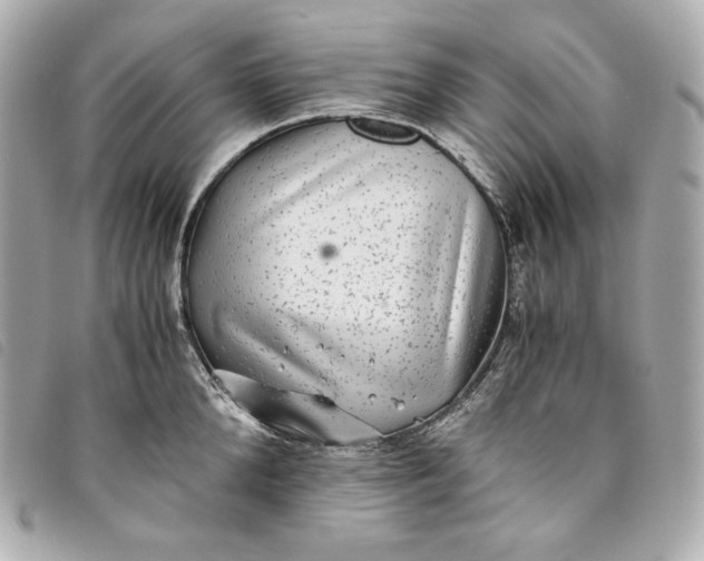 X0000093490904200710261115