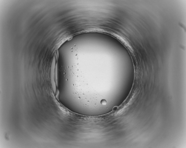 X0000093490905200710261115