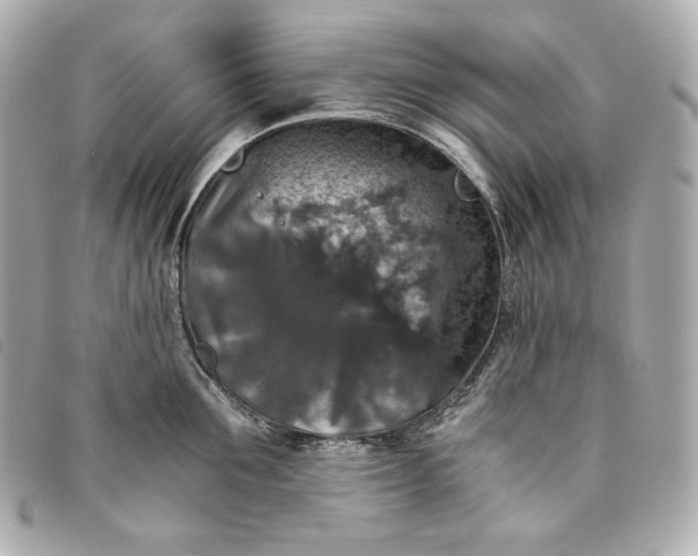 X0000093490907200710261115