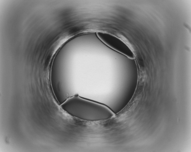 X0000093490909200710261115