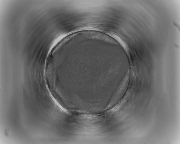 X0000093490910200710261115