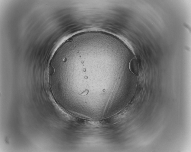 X0000093490911200710261115